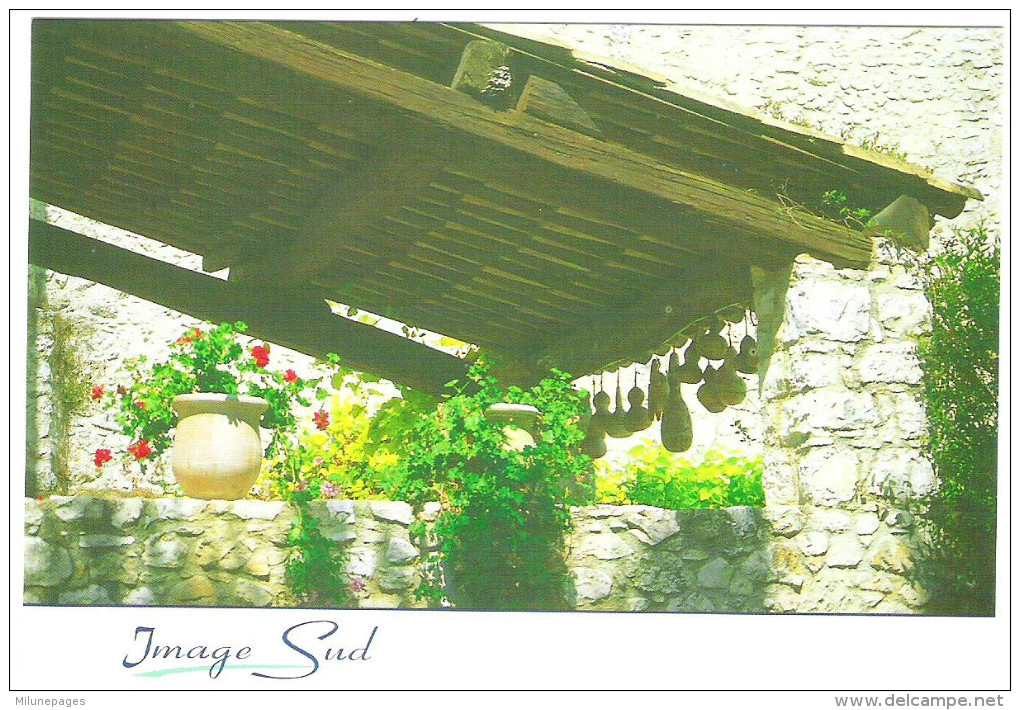 Lot 40 CPM Provence Neuves Identiques Courges Sèches Sous La Terrasse - 5 - 99 Postkaarten