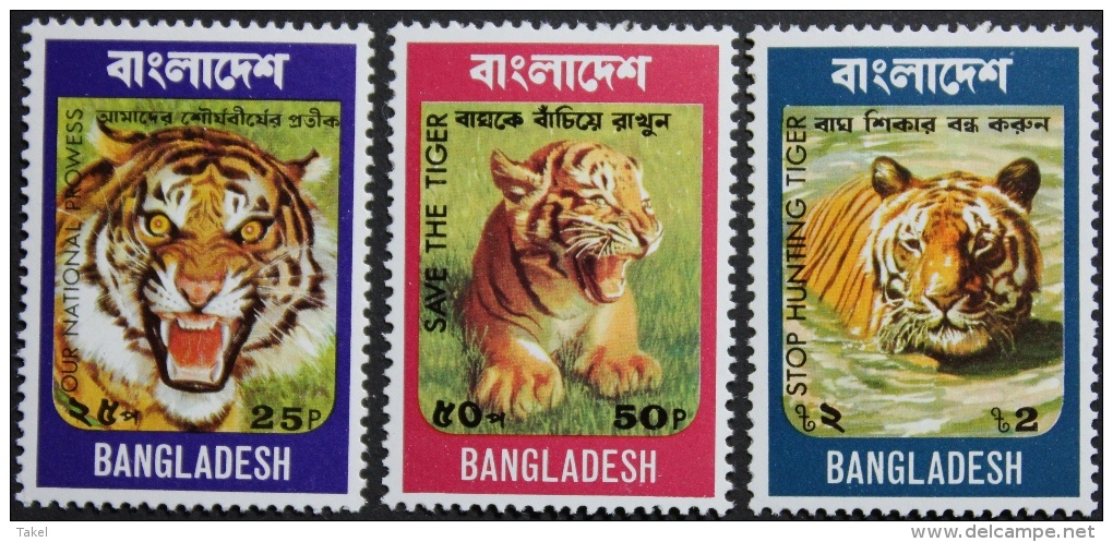 Bangladesh, Tijgers - Bangladesh