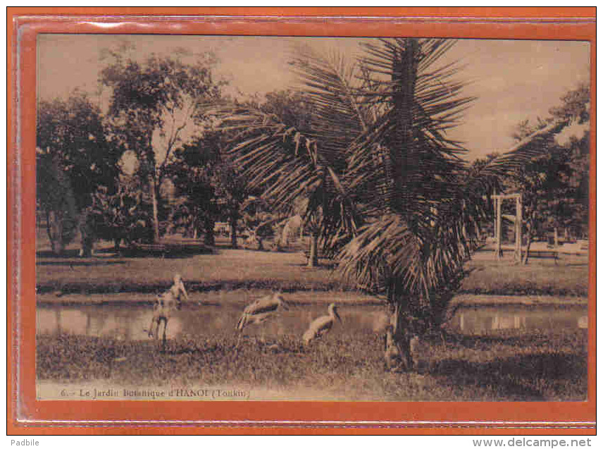 Carte Postale  Viêt-Nam  Hanoï Le Jardin Botanique    Trés Beau Plan - Viêt-Nam