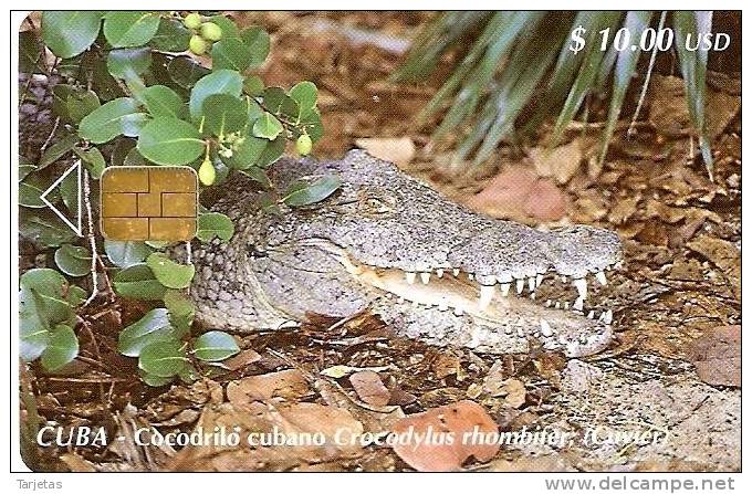 098 TARJETA DE CUBA DE UN COCODRILO (CROCODILE) - Cuba