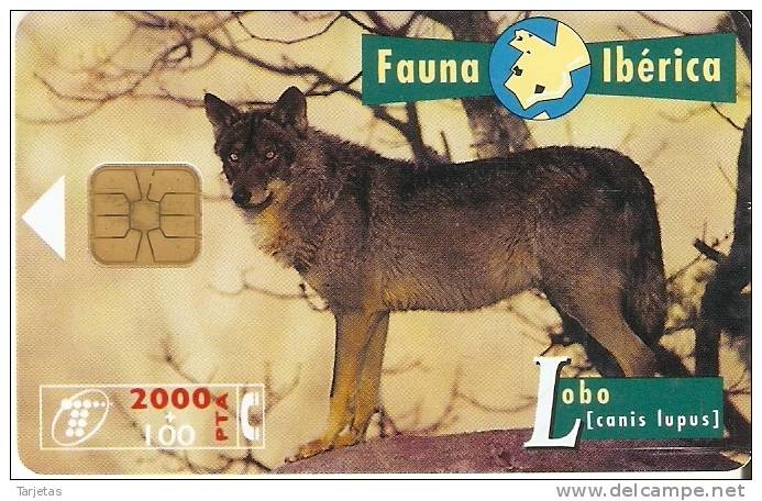 B-047 TARJETA DEL LOBO  FAUNA IBERICA (WOLF) - Basisausgaben