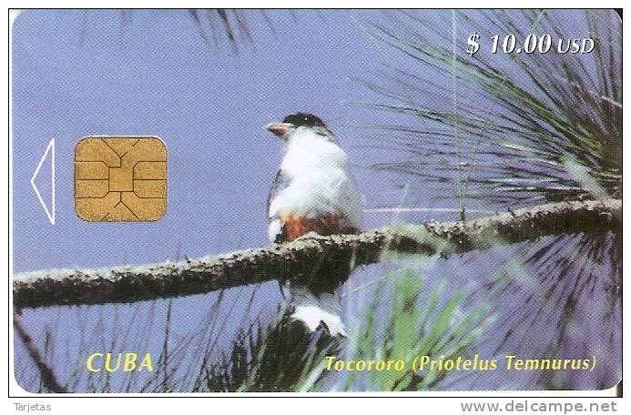 Nº 010 TARJETA DE CUBA DEL PAJARO TOCORORO (BIRD) - Cuba