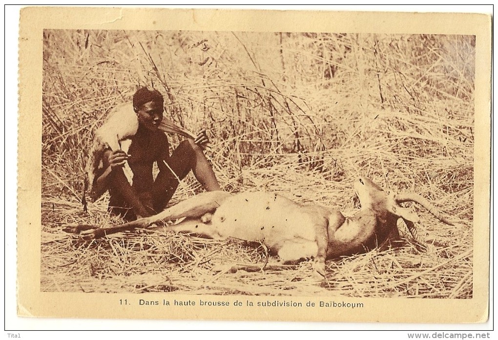 S2360 - Dans La Haute Brousse De La Subdivision De Baïbokoum - Tchad