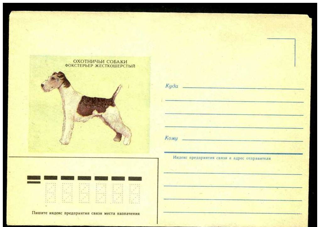 Hunting Dog Fox Terrier Foxterrier Fox-terrier On Russia USSR Mint Cover From 1985 - Dogs