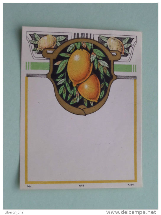 Blanco Citrus ( Dep 1005 MvdH ) +/- 9 X 12 Cm. ( Details Zie Foto ) !! - Other & Unclassified