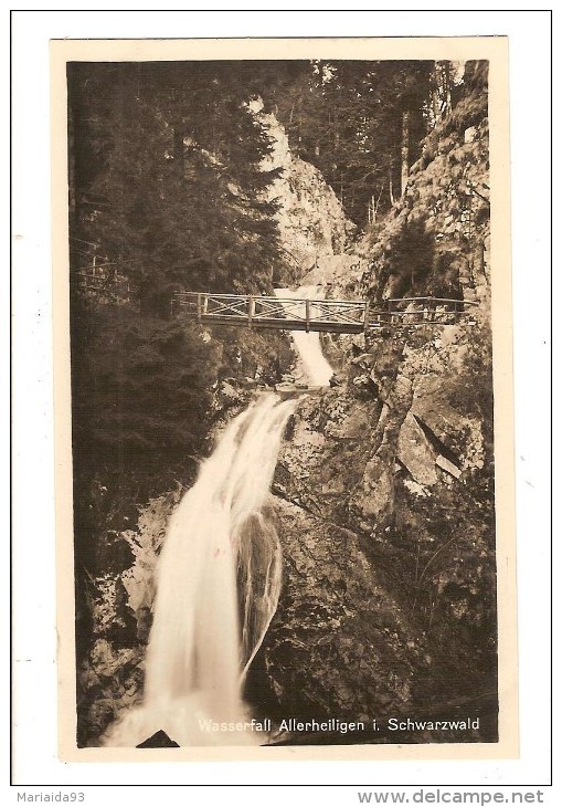 ALLERHEILIGEN - ALLEMAGNE - WASSERFALL - SCHWARZWALD - Oppenau