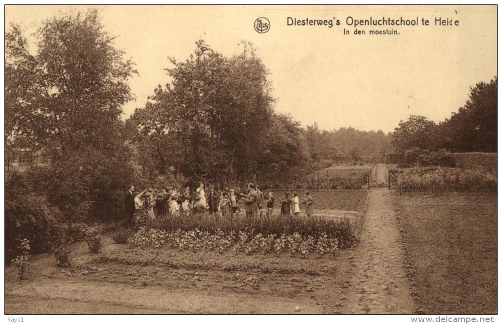 BELGIQUE - ANVERS - KALMTHOUT - Diesterweg's Openluchtschool Te Heide - In Den Moestuin. - Kalmthout