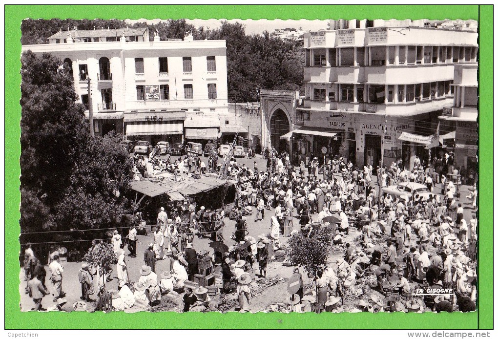 TANGER / LE GRAND SOCCO / ZOCCO GRANDE .... / Carte Vierge ( Années 50 ) - Tanger