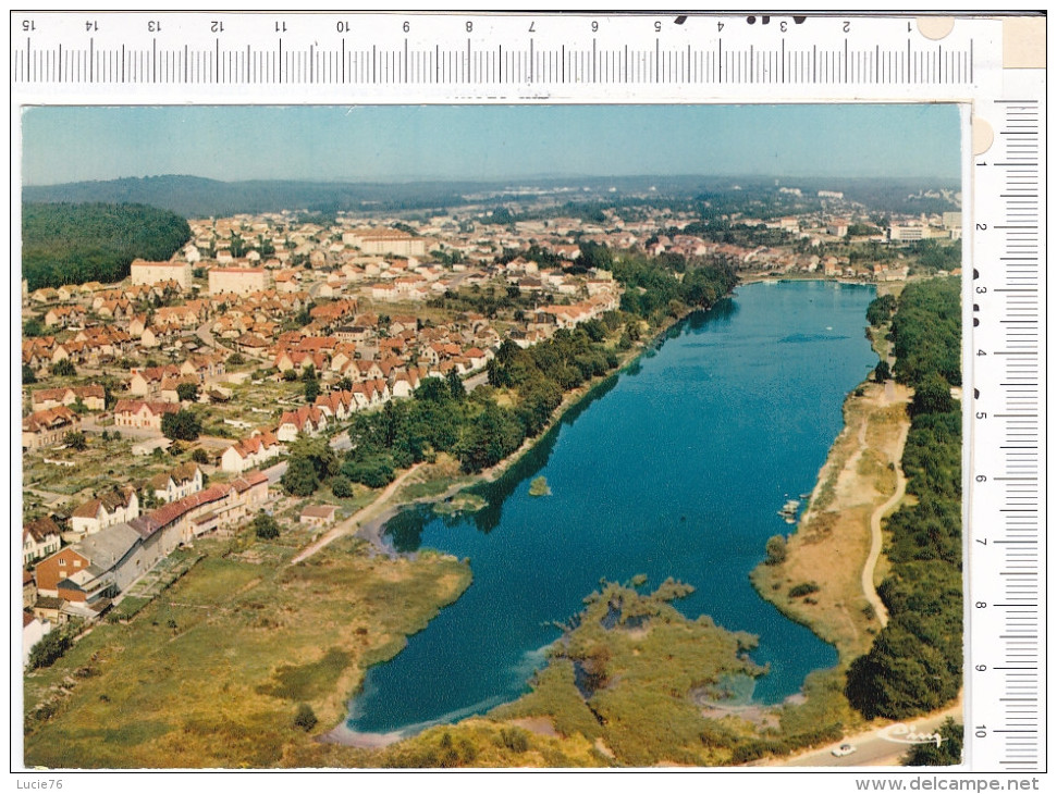 CREUTZWALD  -     Vue  Générale Aérienne - Creutzwald