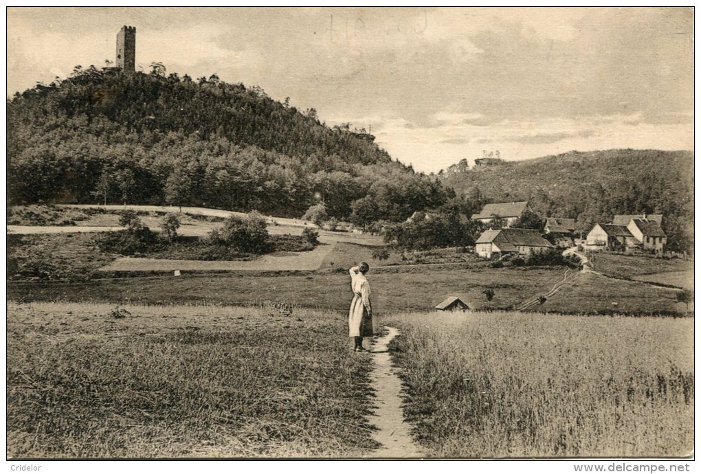 57 - EGUELSHARDT - HOTEL DE L'ETANG DE HANAU - RUINES DU WALDECK - Autres & Non Classés