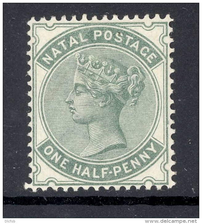 NATAL, 1882 &frac12;d Superb MM - Natal (1857-1909)