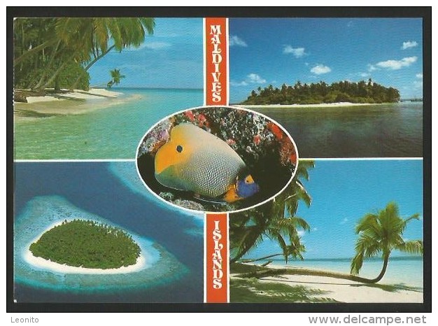 MALDIVES Islands 1985 - Maldiven