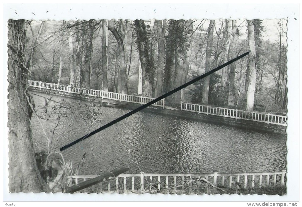 CPSM  -  Château De Nezel Epone - Pièce D'eau - Epone