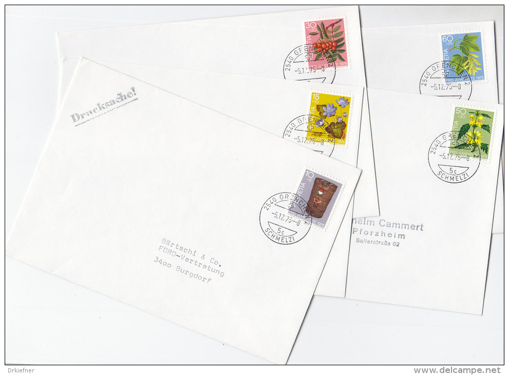SCHWEIZ  1062-1066, Pro Juventute 1975 Auf 5 Bedarfsbriefen, Tag Der Briefmarke, Zierpflanzen Des Waldes - Briefe U. Dokumente