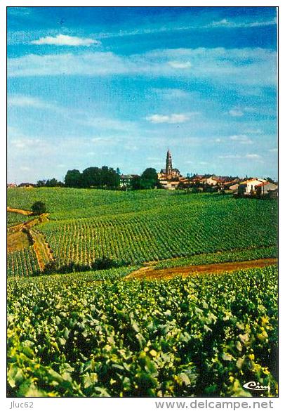 CP.  44.  SAINT  FIACRE.  VUE  GENERALE - Autres & Non Classés