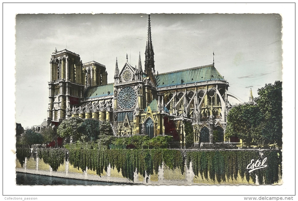 Cp, 75, Paris, La Cathédrale Notre-Dame De Paris, écrite 1957 - Notre Dame De Paris