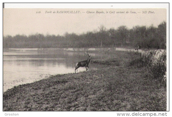 FORET DE RAMBOUILLET 216 CHASSE ROYALE LE CERF SORTANT DE L'EAU  1919 - Jacht