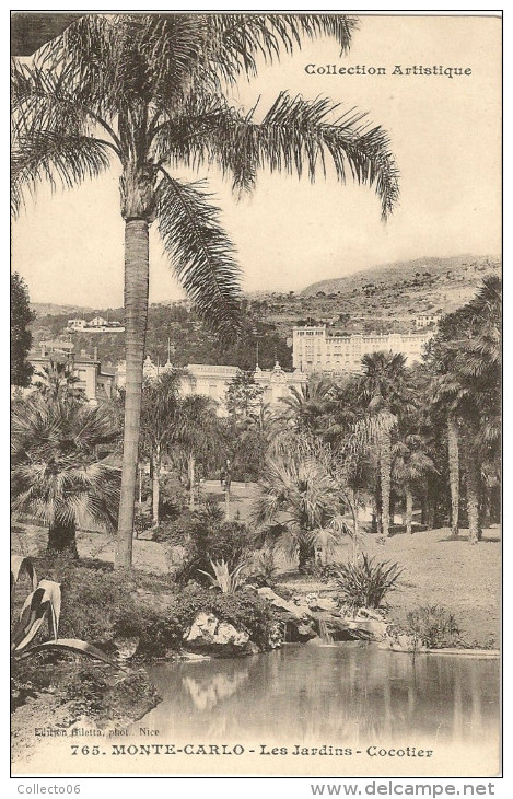 Carte Postale Monaco Les Jardins Cocotiers 1900 - Exotische Tuin