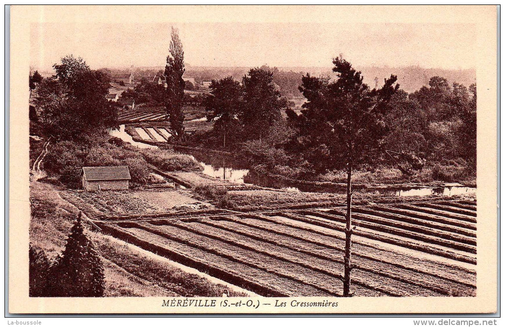 91 MEREVILLE - Les Cressonnières - Mereville