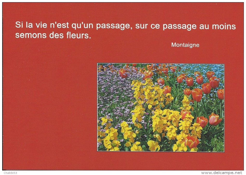 PARTERRE FLEURI TEMPORAIREMENT - Si La Vie N´est Qu´un Passage, Sur Ce Passage Au Moins Semons Des Fleurs. MONTAIGNE - Philosophie & Pensées