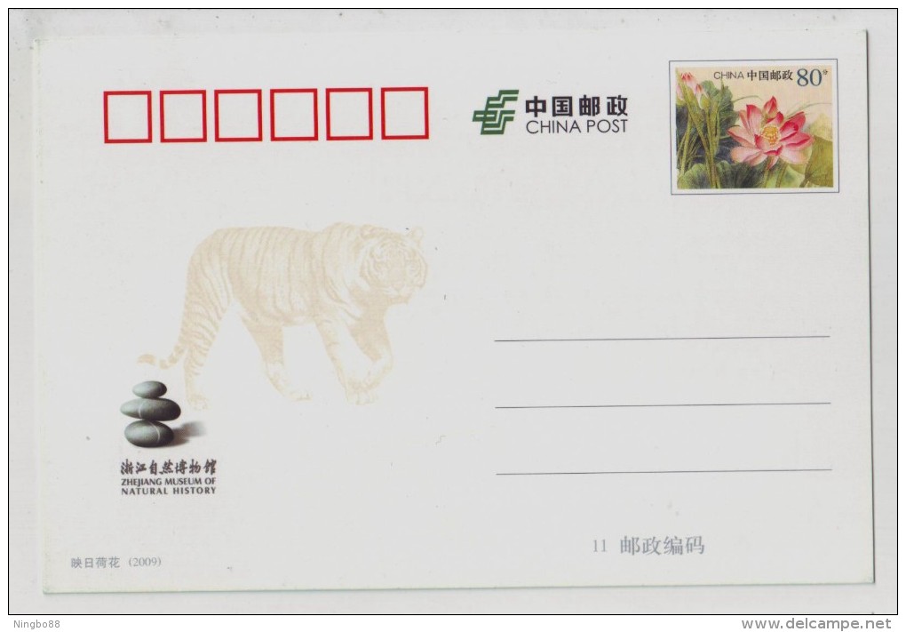 Ecological Scene Of Zhejaing Mountainous Region Tiger Deer Pheasant,CN 09 Zhejiang Nature Museum Pre-stamped Card - Other & Unclassified