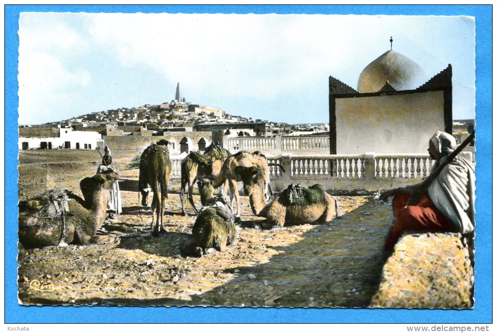 R078, Chardaïa, Ghardaïa, ,Caravane Près Du Marabout Du Cimetière, M'Zab,114,Mission Biblique, Circulée 1961 Sous Envelo - Ghardaia