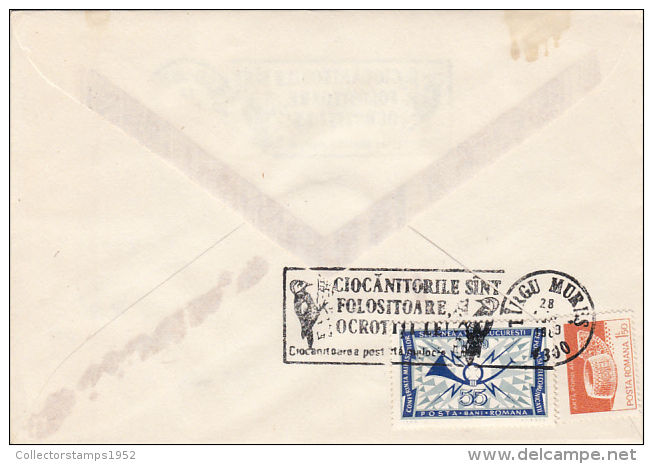 12487- WOODPECKER, BIRD, SPECIAL POSTMARK ON COVER, 1989, ROMANIA - Specht- & Bartvögel