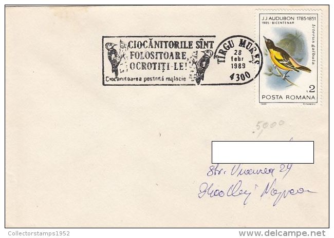 12488- WOODPECKER, BIRD, SPECIAL POSTMARK ON COVER, 1989, ROMANIA - Pics & Grimpeurs