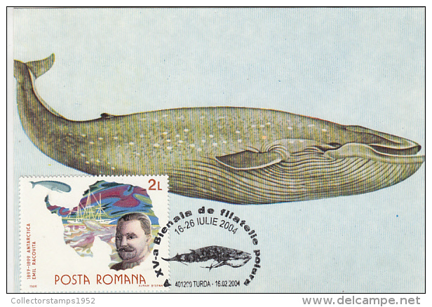 12490- BLUE WHALE, MAXIMUM CARD, 2004, ROMANIA - Baleines