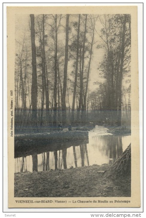 VOUNEUIL Sur BIARD  - La Chaussée Du Moulin Au Printemps - Vouneuil Sous Biard