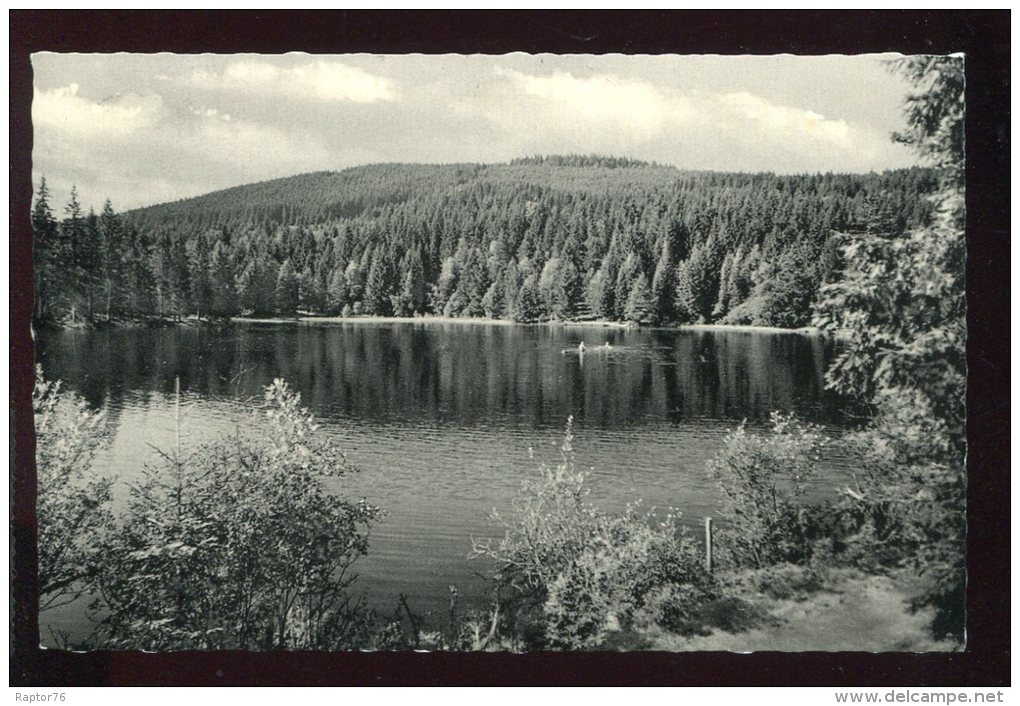 CPSM Allemagne HINTERZARTEN /Hoschschwarzwald Mathiesleweiher - Hinterzarten