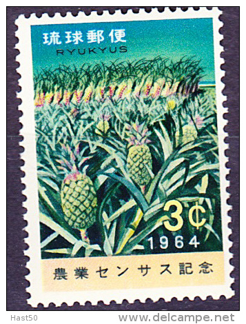 Ryu-Kyu-Inseln  - Ananaspflanzung/pineapple Plantation/plantation D'ananas (MiNr: 148) 1964 - Postfr. MNH - Ryukyu Islands