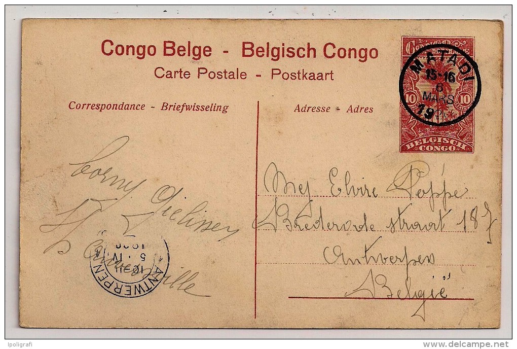 Congo Belge, Carte Postale, Plantation De Funtumia, 10 C., Matadi, 6-3-20 - Plantas Medicinales