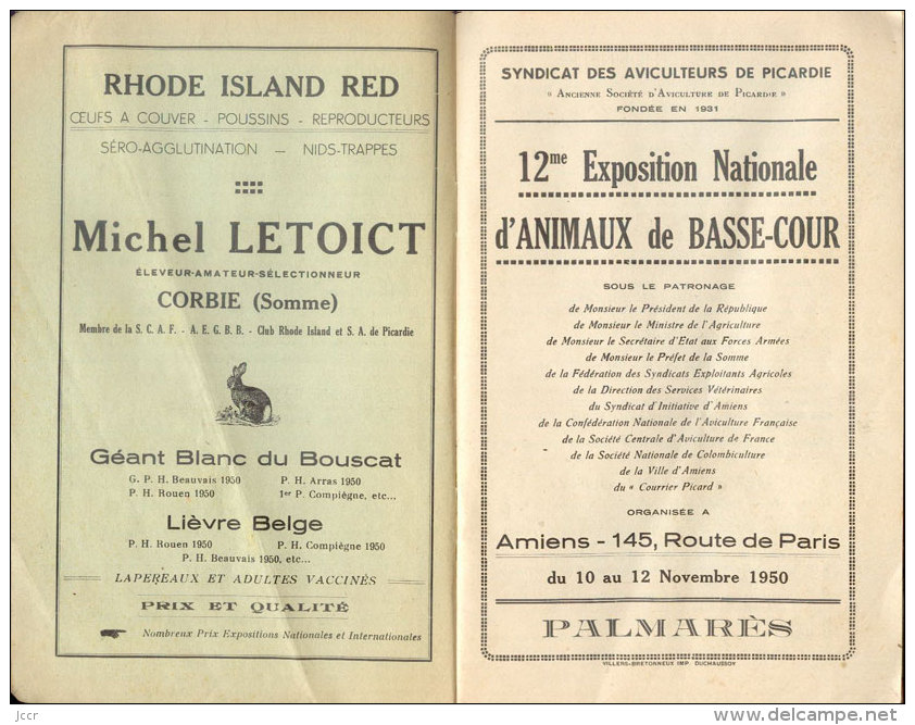 12e Exposition Nationale D´Animaux De Basse-Cour/Syndicat Des Aviculteurs De Picardie/Palmarès/Amiens/1950 - Animaux