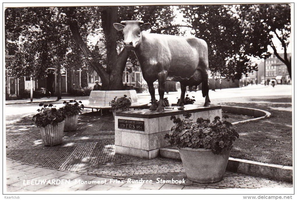 Leeuwarden - Monument Fries Rundvee Stamboek    - Friesland/ Nederland - KOEIEN - Leeuwarden