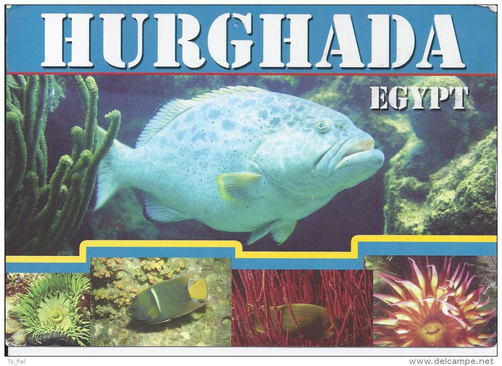 Hurghada - Egypte - Hurgada