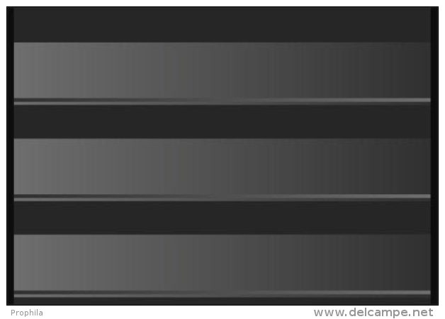 PRINZ Steckkarten Schwarz, Kunststoff, 210 X 145 Mm, 3 Streifen, 50 Stück - Cartes De Stockage