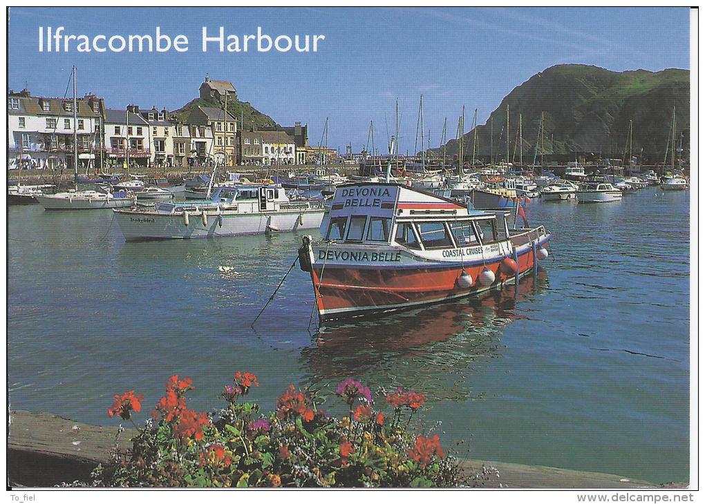 Ilfracombe Harbour - Ilfracombe