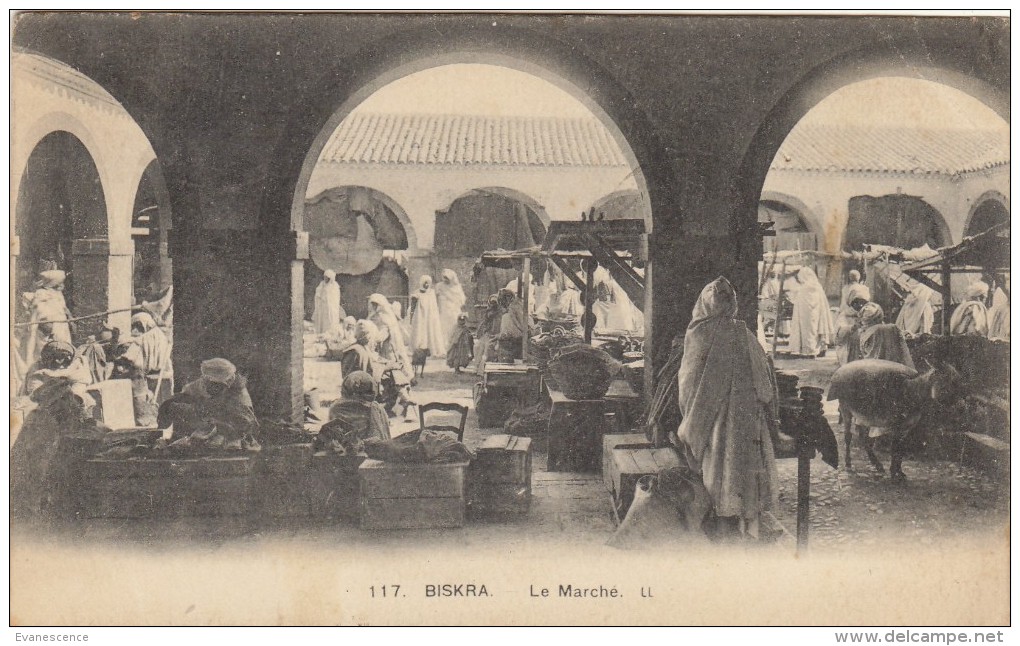 BISKRA   /////  REF  FEV.15 / N° 5993 - Biskra