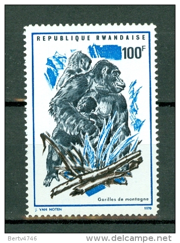 Rwanda 1970 - 377**  - Berggorilla's / Gorilles De Montagne - Nuevos