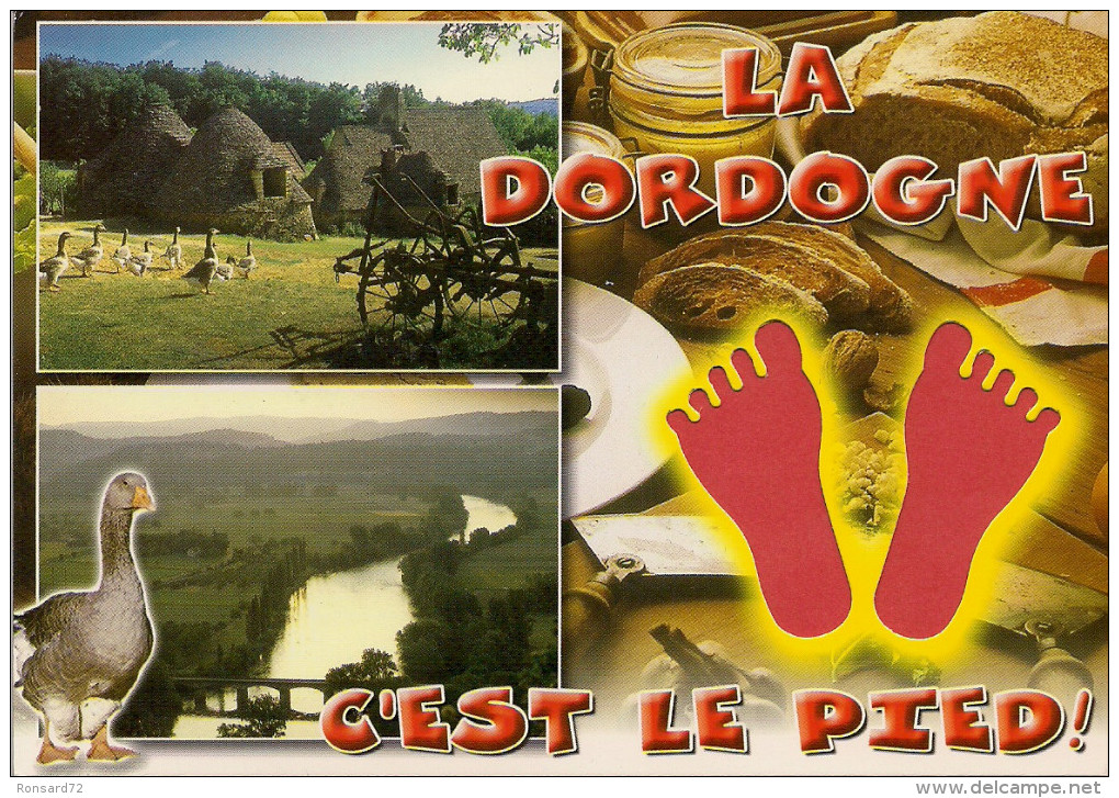 24 -  Carte à Trou, DORDOGNE - Altri & Non Classificati