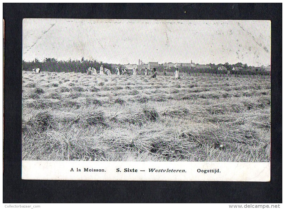 Belgium  Westvleteren : S. SIXTE : Oogsttijd  Carte Postale Vintage Original Postcard Cpa Ak (W4_608) - Vleteren