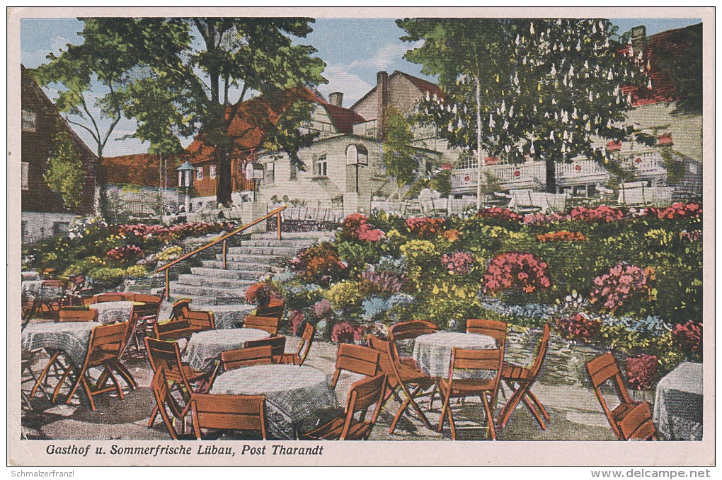 Litho AK Sommerfrische Lübau Rabenau Gasthof Garten Bei Tharandt Borlas Spechtritz Edle Krone Höckendorf Seifersdorf - Rabenau