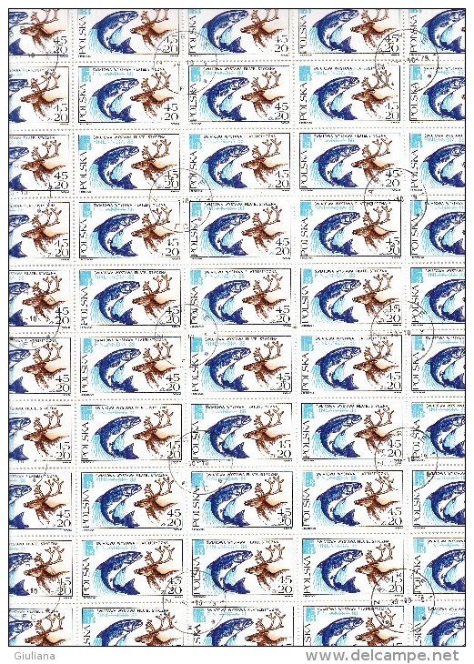 Polonia 1988 - Yt 2955  Used 2 Foglio Completo  Di 50 Val. "Finlandia '88" Esp. Fil. A Helsinki - Volledige Vellen