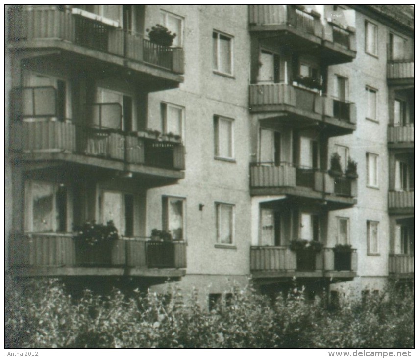 Stralsund Heinrich-Heine-Ring - Balkon Plattenbauten Hochhaus Wohngebiet Sw 1968 - Stralsund