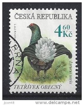 Czech-Republic  1998  Endangered Species; Black Grouse  (o)  Mi.179 - Used Stamps