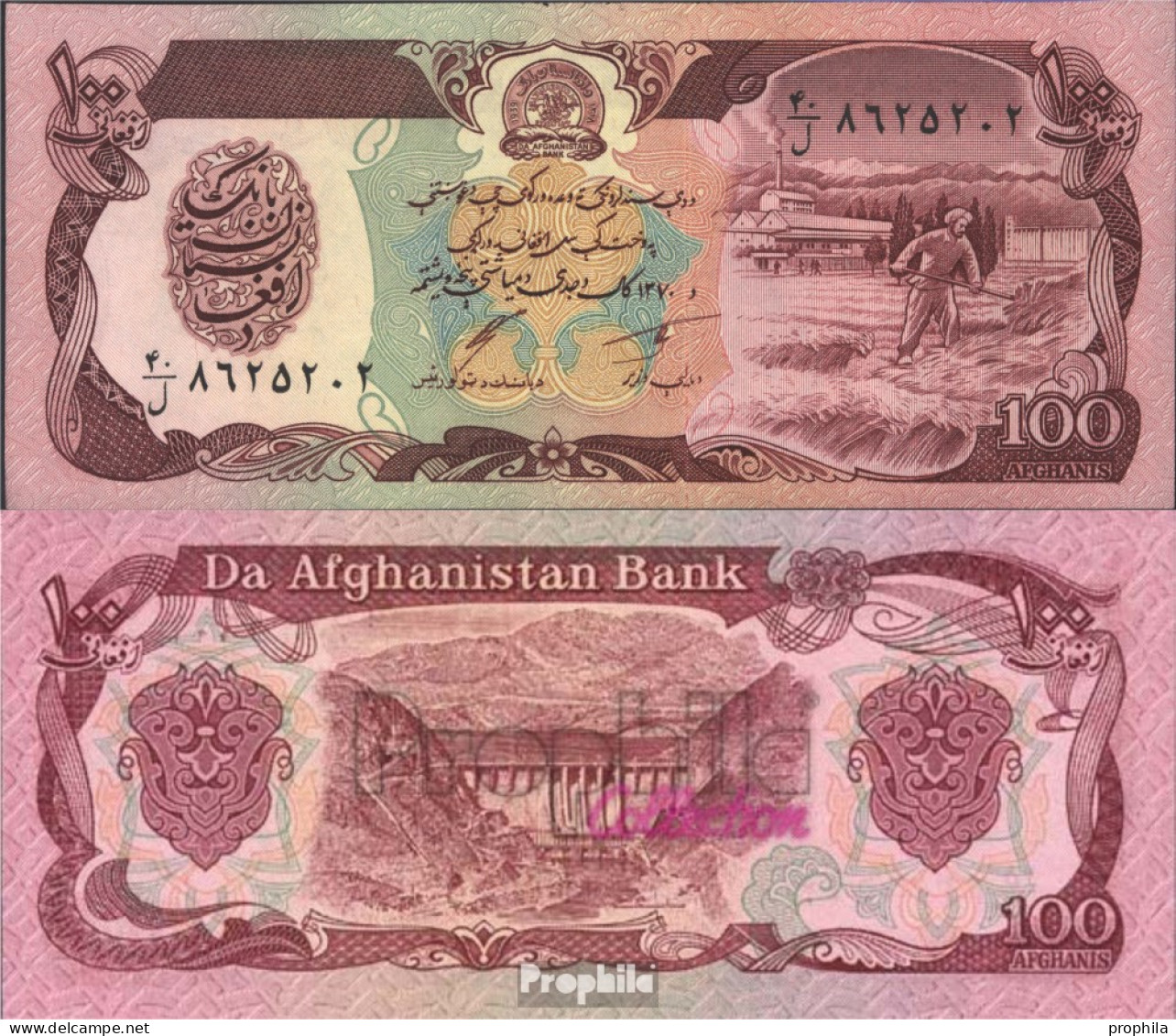 Afghanistan Pick-Nr: 58c Bankfrisch 1991 100 Afghanis - Afghanistan