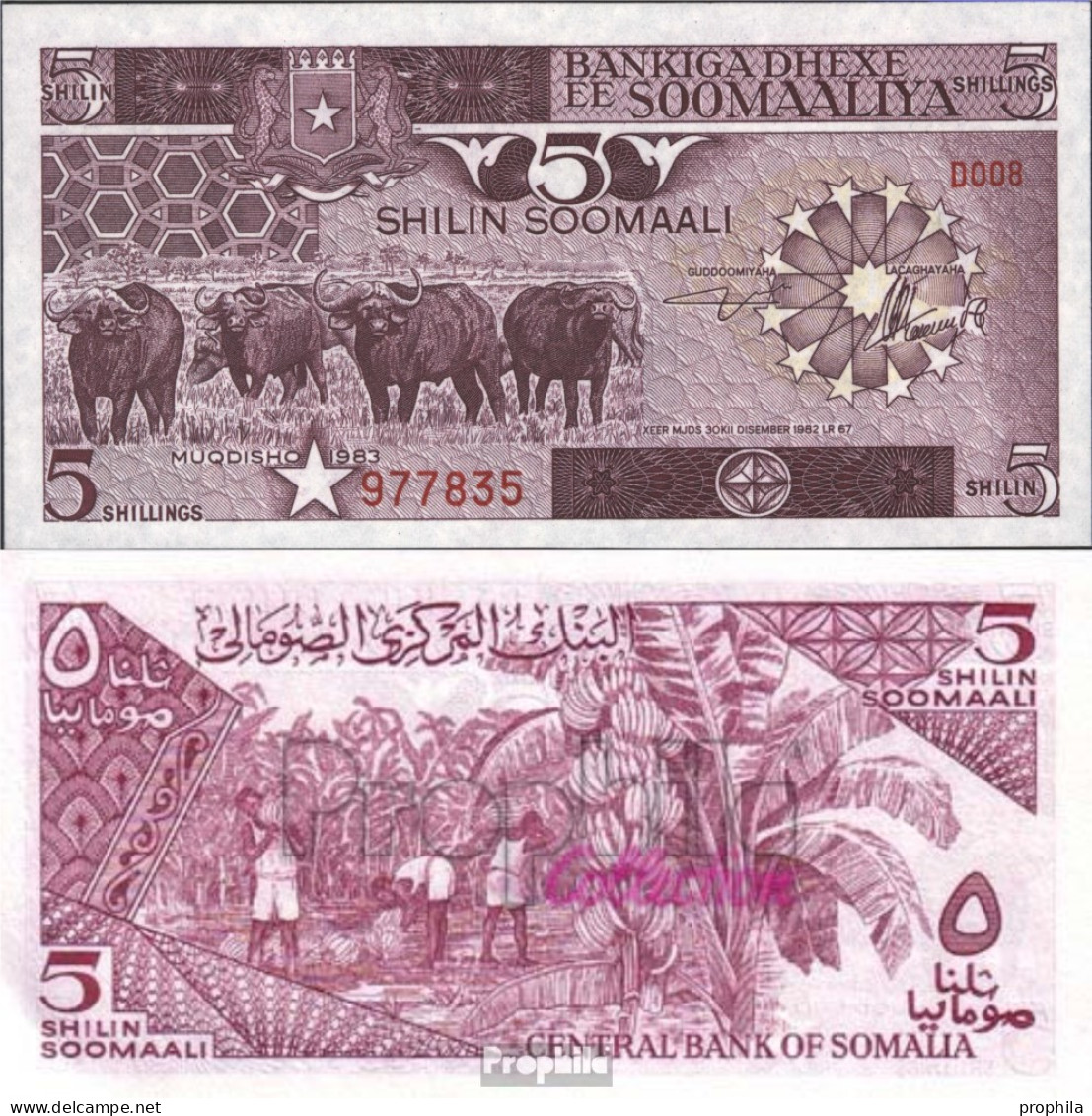 Somalia 31a Bankfrisch 1983 5 Shilling Büffel - Somalia