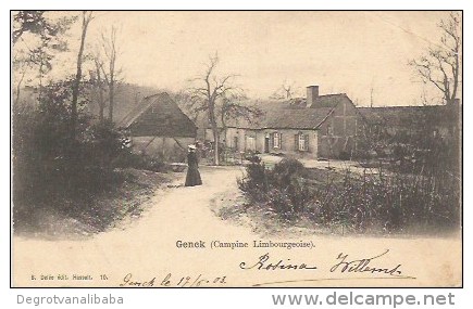 Genck (campine Limbourgeoise) - Genk