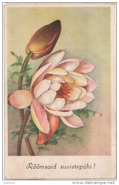 Pentecost Greeting Card - Peony - Flowers - MH - Circulated In Estonia 1944 - Pentecostés